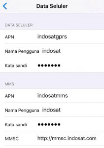 Hasil Setting APN Indosat Di iPhone 