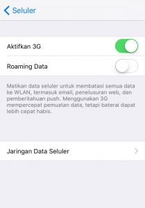 Cara Setting APN Indosat Di iPhone 