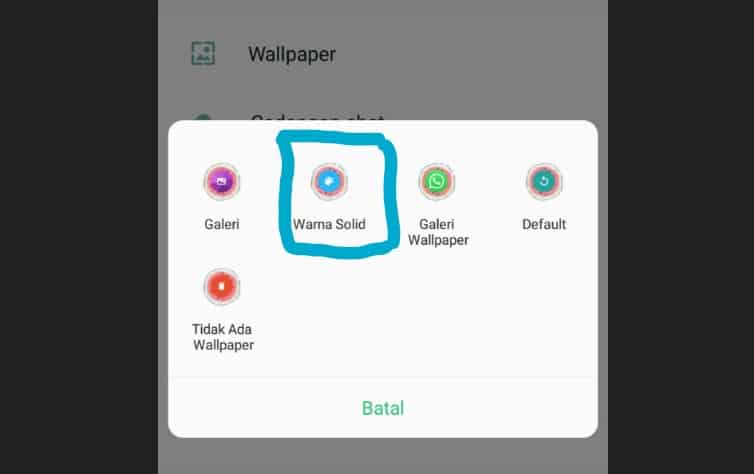 Cara ke-1 Ganti Background WhatsApp Via Solid Color