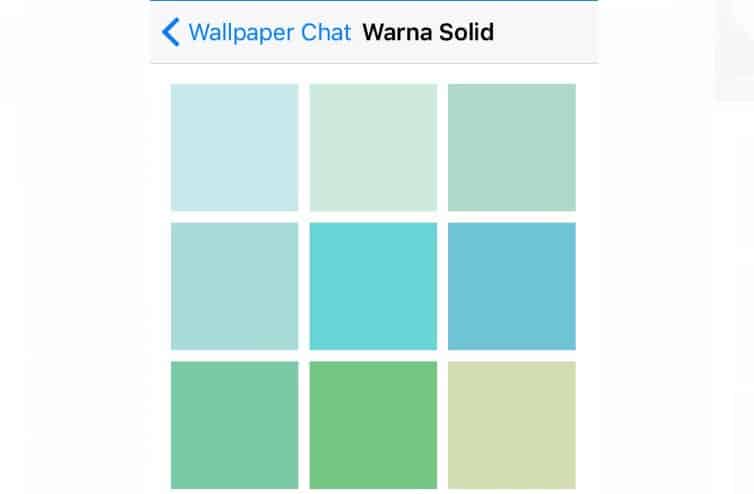 Cara ke-2 Ganti Background WhatsApp Via Solid Color