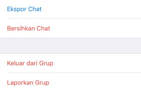 Cara ke-3 Gunakan Fitur Exit Group WhatsApp